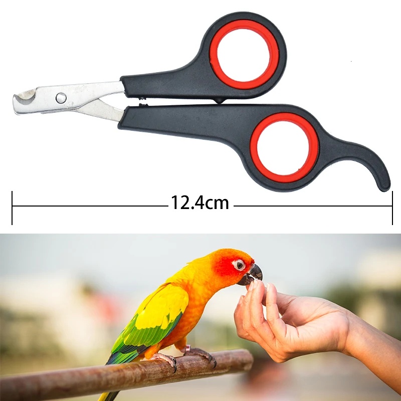 12cm Pet Parrot Nail Scissor D - огляд і ціна Grooming Scissors